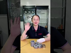 El carburo de tungsteno Puching muere por piezas de perforación de la herramienta del molde